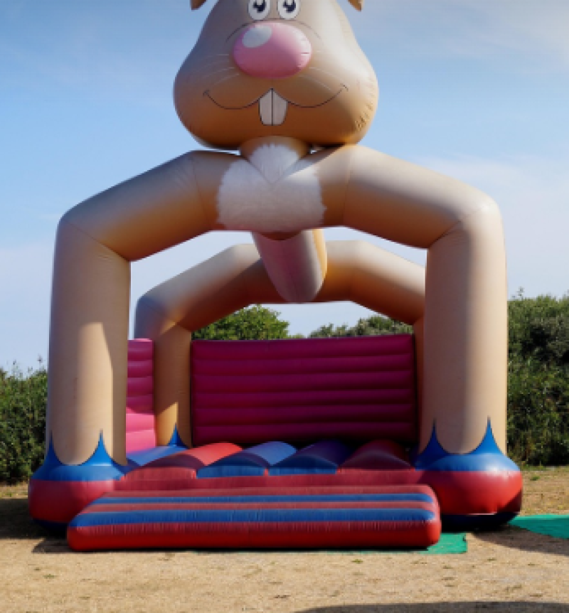 Geen cel maar boete voor organisator na ongeval op springkastelenfestival Sint-Niklaas