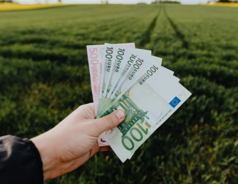 Gepensioneerde beleggingsadviseur “belegt“ 5 miljoen euro in fictieve fondsen: vrouw aangehouden, minstens 112 slachtoffers