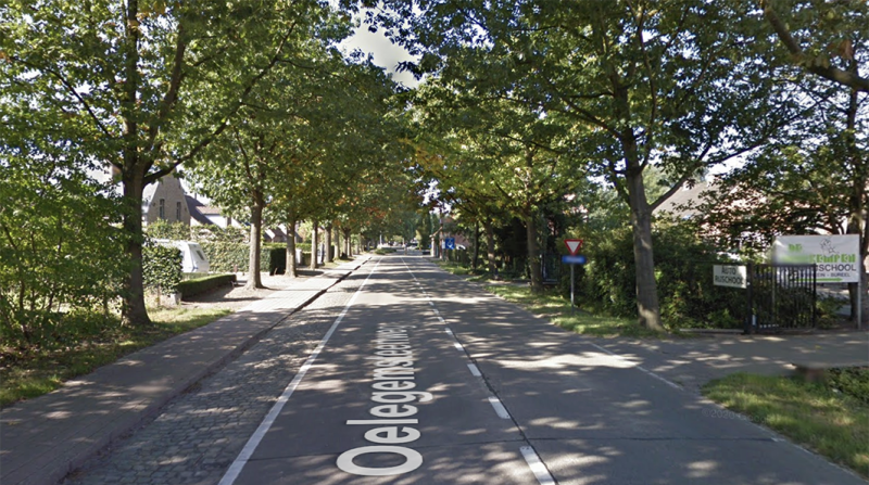 Plannen voor bomenkap langs Oelegemsteenweg in Schilde uitgesteld