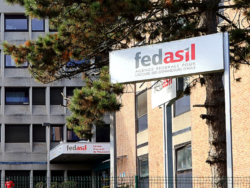 Exclusief: Belgische agentschappen te duur of niet goed genoeg? Fedasil werkt met buitenlands reisagentschap