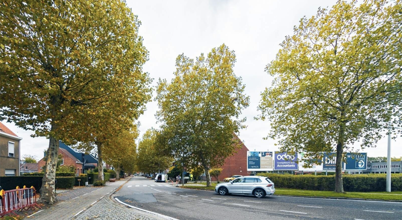 Wegwerkzaamheden Lierseweg Herentals: Snoeiwerkzaamheden veroorzaken tijdelijke verkeershinder