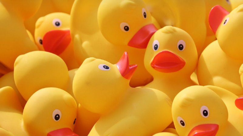 Unieke eendjes voor het goede doel bij Bruges Duck Store