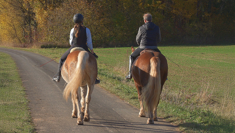 overleg voor ruiterpaden in de Voorkempen door beveractiviteit