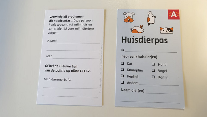 Antwerpen introduceert huisdierpas voor noodsituaties