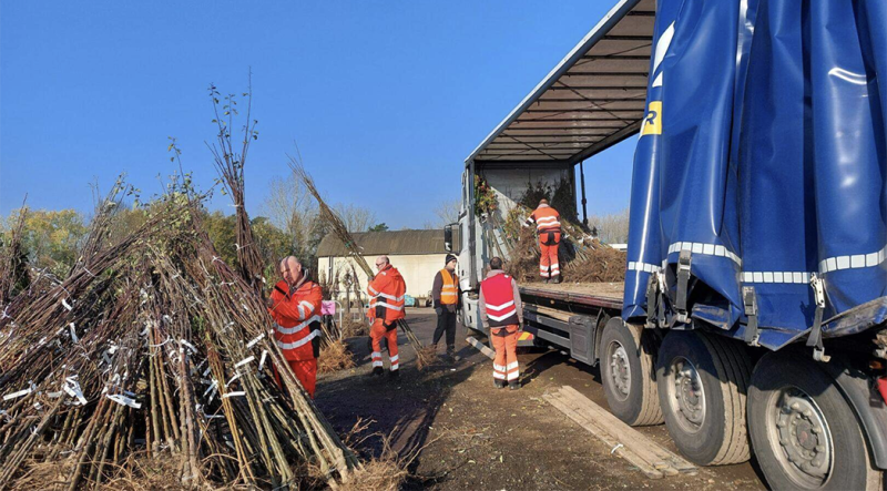 Heist-op-den-Berg wordt groener: 1.500 bomen razendsnel verdeeld