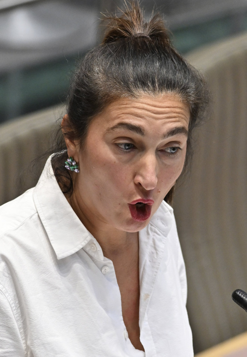 Demir en Weyts moeten het N-VA-narratief terug opleuken