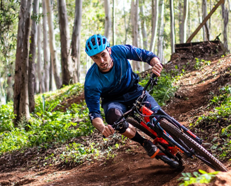 Frisse wind door Tudorbos: vernieuwde paden en mountainbike-track