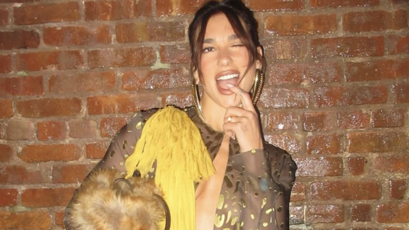 📸 Dua Lipa doet internet smelten met nietsverhullend doorkijkje