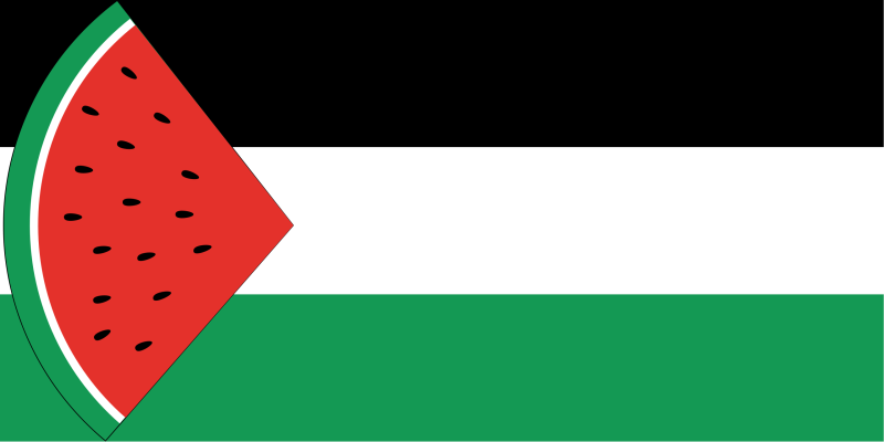 Geheime pro-Palestina boodschap in Disney's kerstreclame