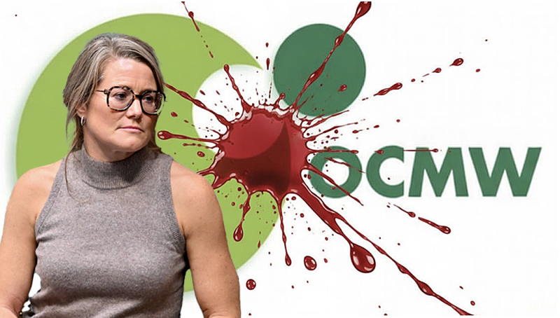 “Radeloze mensen doen radeloze dingen”: het cynische vingertje van N-VA en de escalatie aan de OCMW-loketten