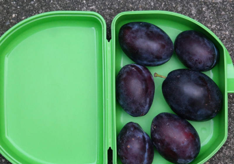 Verkoop inboedel Tupperware-fabriek overtreft miljoen euro, werknemers gedupeerd