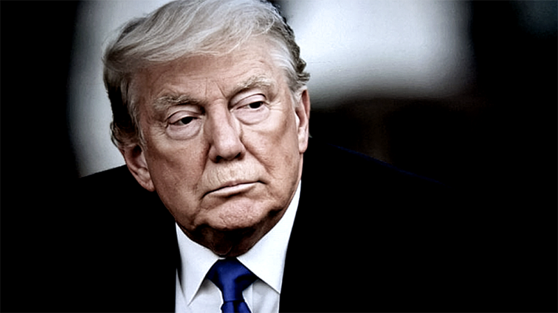 🎥  Plots is Trump bang voor zijn postje