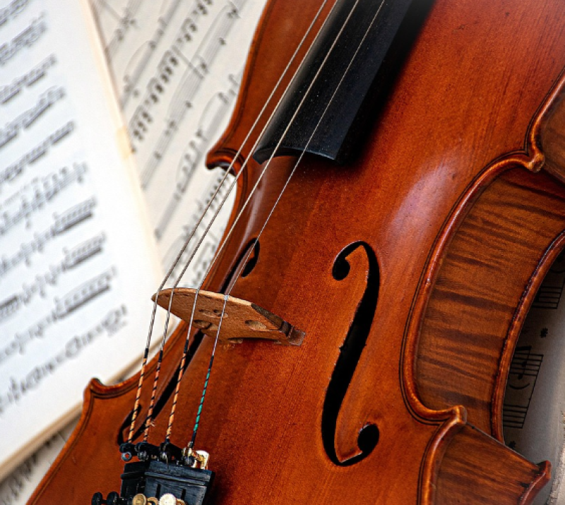 Unieke viola da gamba verkocht voor een fractie van de waarde
