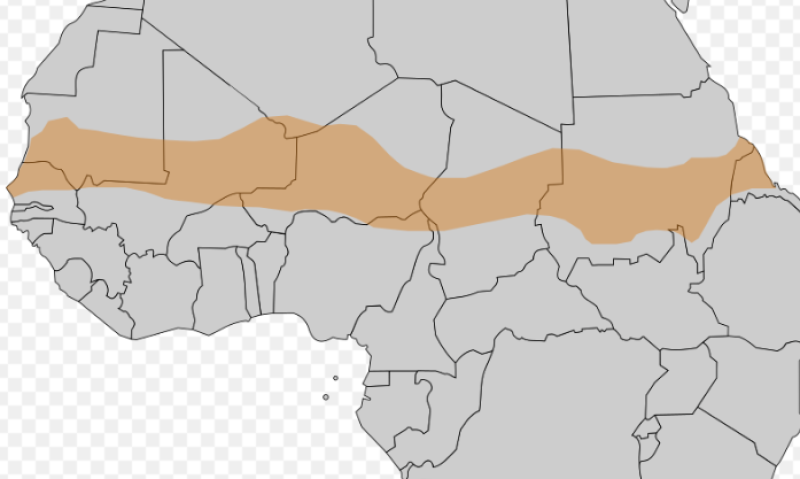 ICT: Sahel is epicentrum van jihadistische expansie in Afrika