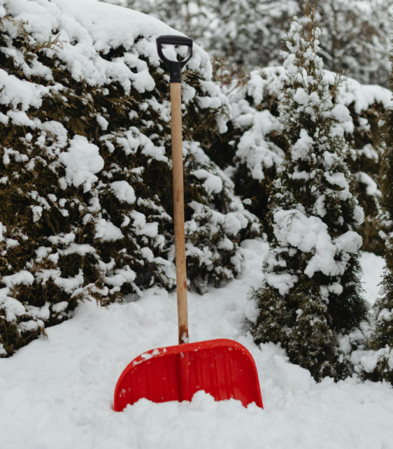 Sneeuwschoppenrel: Bart Cannaerts schiet pax media aan flarden - presentator maakt Gentse “onderzoeksjournaliste“ van HLN belachelijk