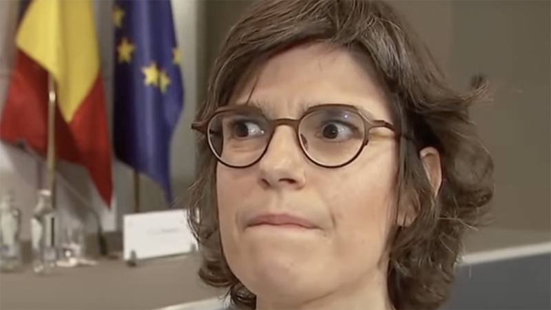 Plan b van plan b heeft niet gewerkt: Engie mag Tihange 1 slopen