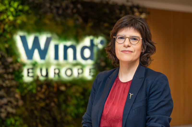 Politiek vaarwel, windenergie-volgas: voormalig minister Tinne Van der Straeten (Groen) wordt CEO bij WindEurope