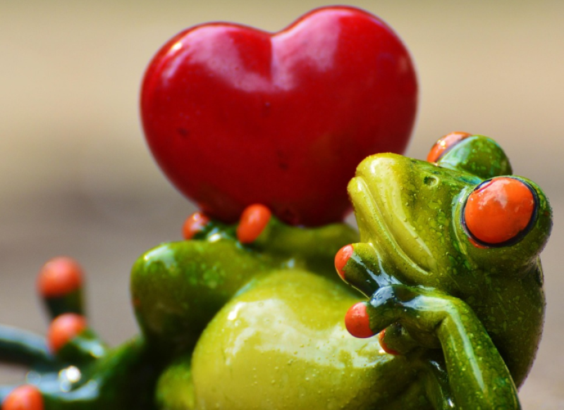 Valentijn in Gent wordt pittig met erotische vertelavond en workshops