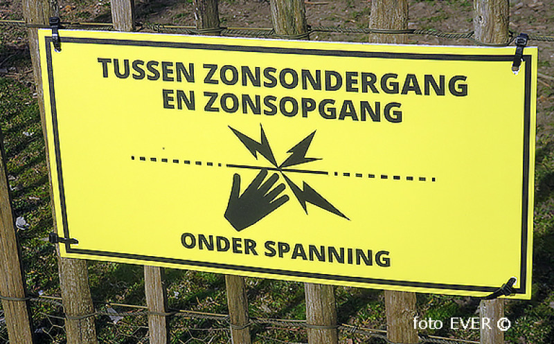 Agentschap Natuur en Bos verleent subsidies voor onwettige schrikdraadinstallaties