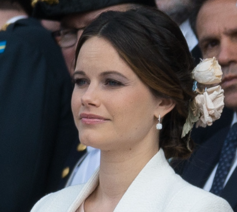 Epstein-files: “Hier een foto van onze Sofia – je weet wel, binnenkort prinses Sofia“