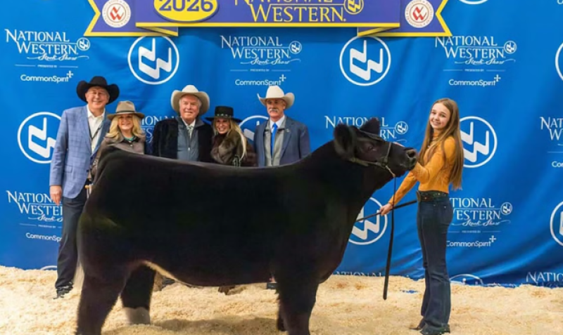 📸 13-jarige rancher verkoopt zelf opgefokte prijsstier voor 320.000 dollar