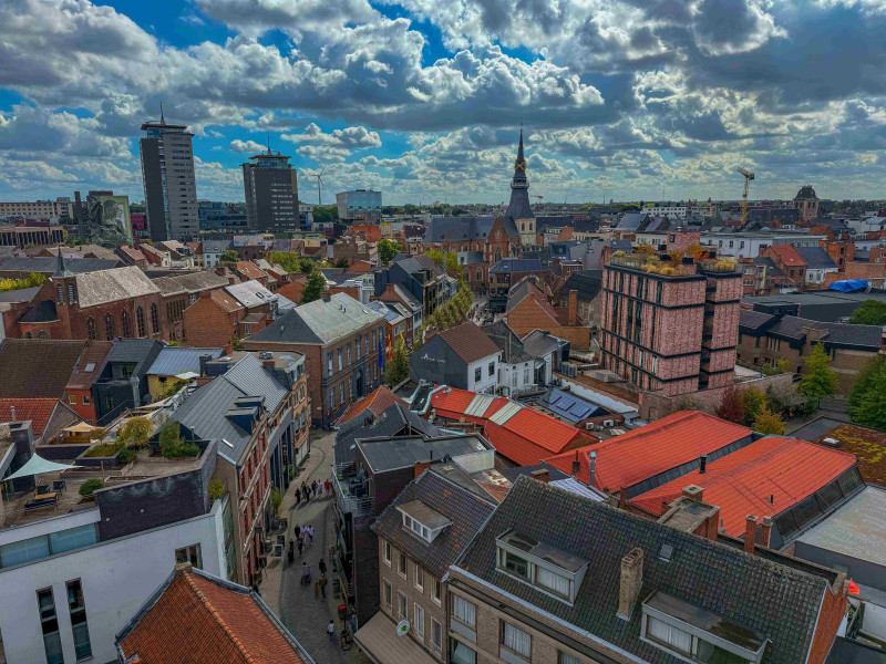 Hasselt plaatst camera's na melding vergiftiging dieren