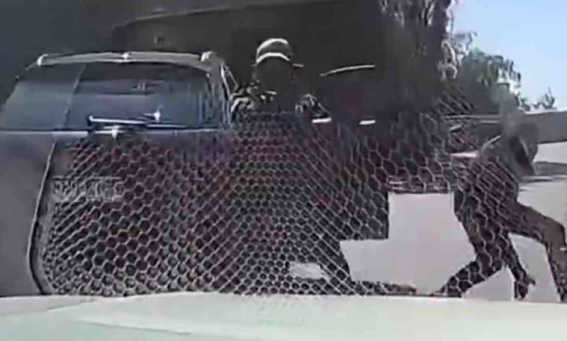 🎥 Snelwegpiraten zien ze vliegen na mislukte carjackpoging