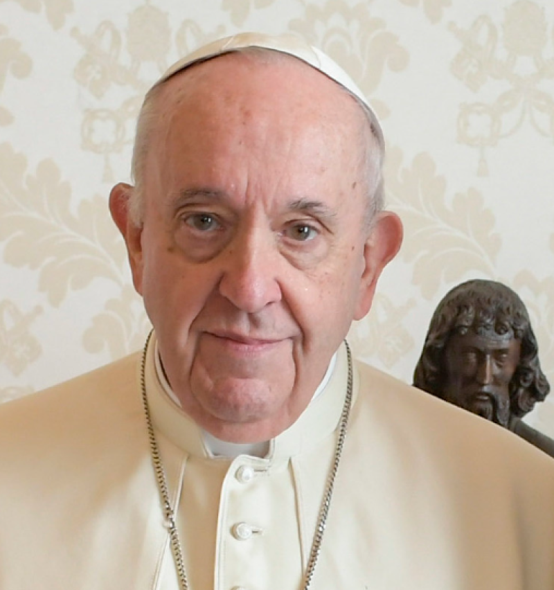 Epstein-files: Bannon wou paus Franciscus ten val brengen via zedendelinquent