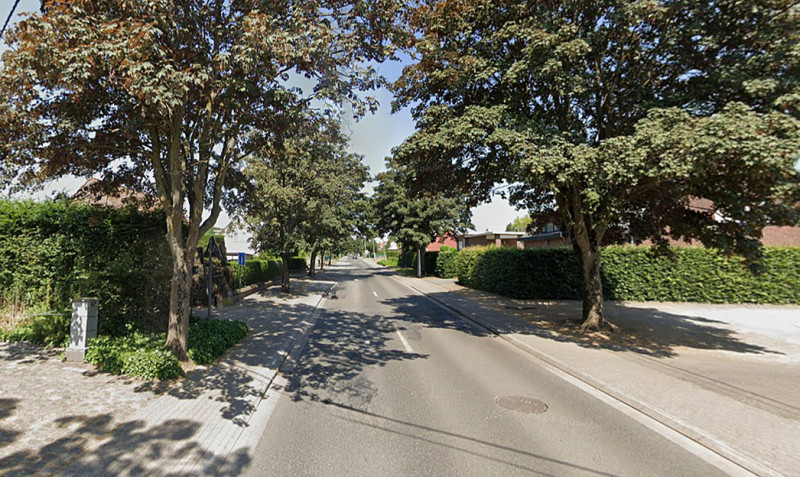 Bonheiden biedt bomen aan na rioleringswerken