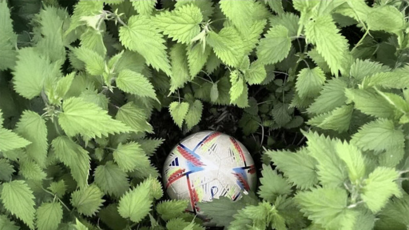 📸  Tien om te zien #1231