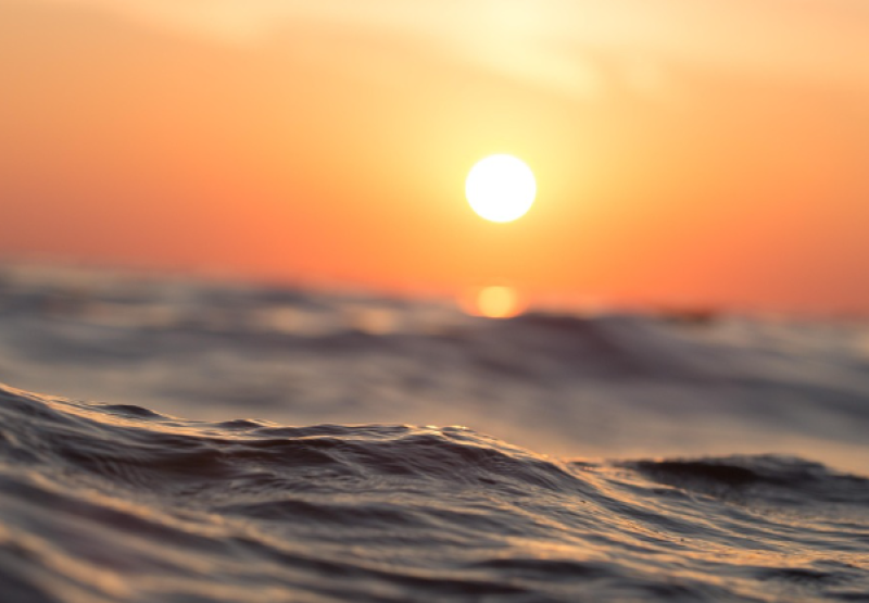 België zweet in februari: KMI bevestigt nieuw warmterecord