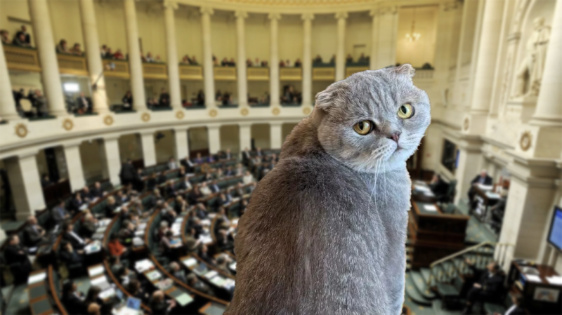 De Wever stuurt zijn kat naar het vragenuurtje in de Kamer