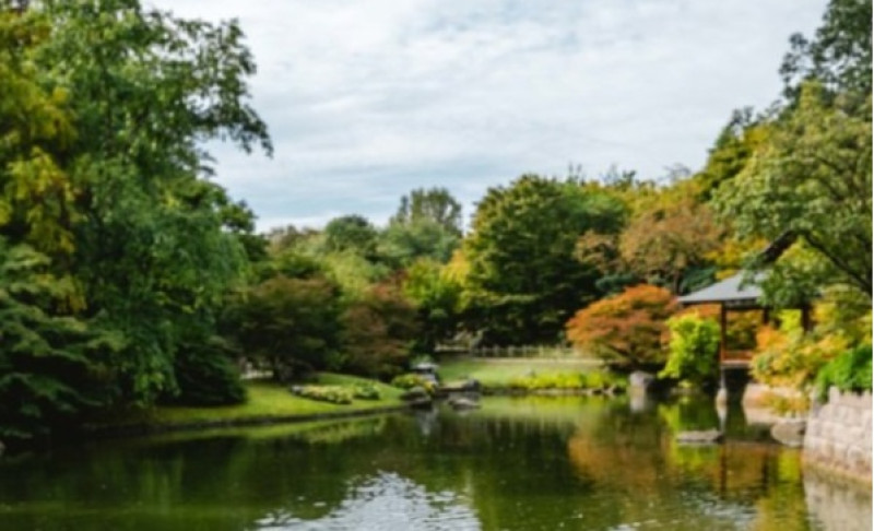 Japanse Tuin in Hasselt opent eerder