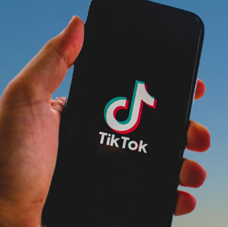 Deze TikTok-trends zorgen ervoor dat je rijk wordt... of toch minder arm