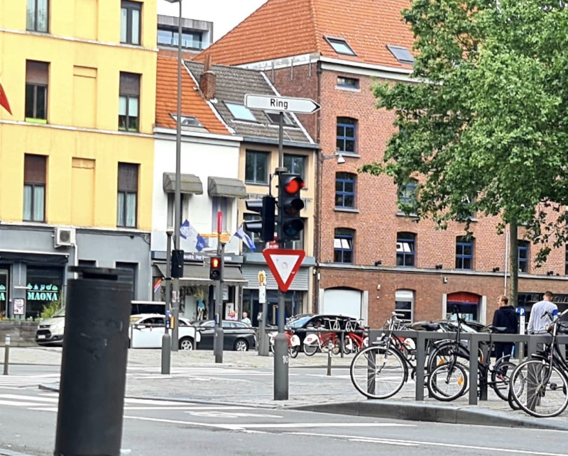 Op z'n hondjes van het Falconplein richting het MAS: Puppywalk tijdens zestiende editie van Darklands