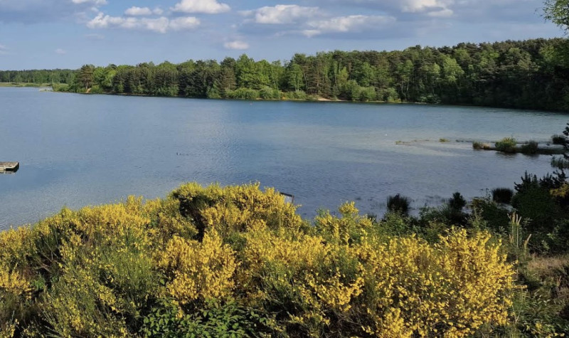 Vijftig vrijwilligers ruimen Extrema Outdoor-domein in Kelchterhoef op