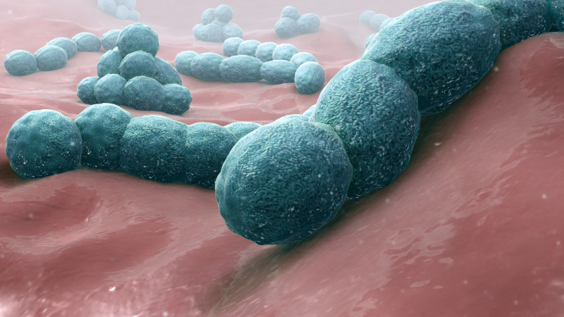 VK: meningitis veroorzaakt twee overlijdens, elf ernstig ziek bij uitbraak