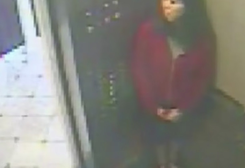 's Werelds grootste mysteries: wat gebeurde er écht met Elisa Lam in het beruchte Cecil Hotel?