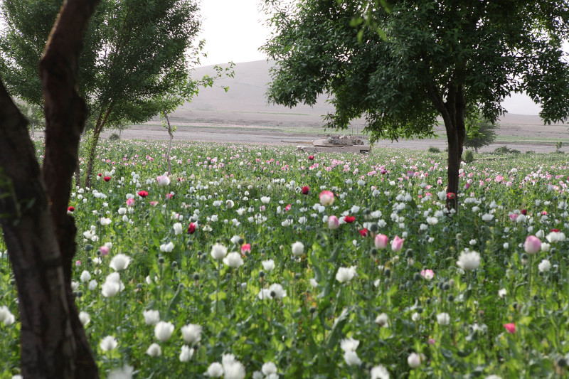Iran: drugs in ruil voor wapens met Taliban in Afghanistan