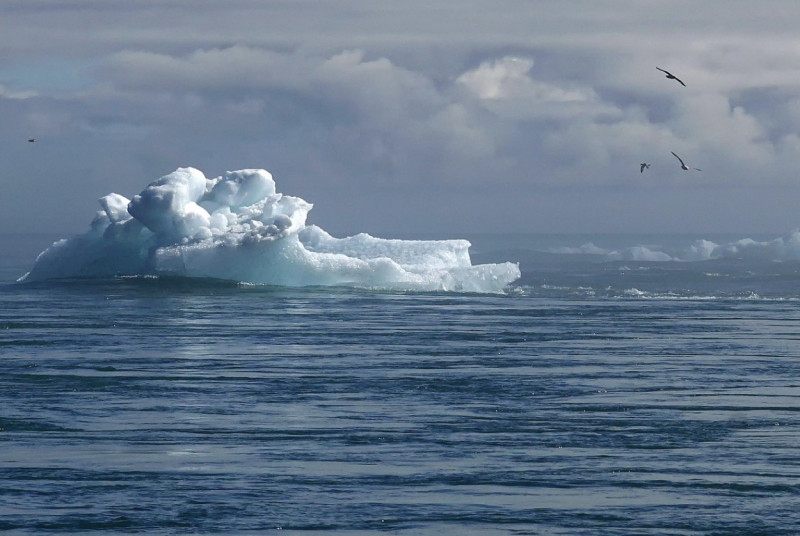 Achthonderd Mortselnaren zingen samen voor het klimaat