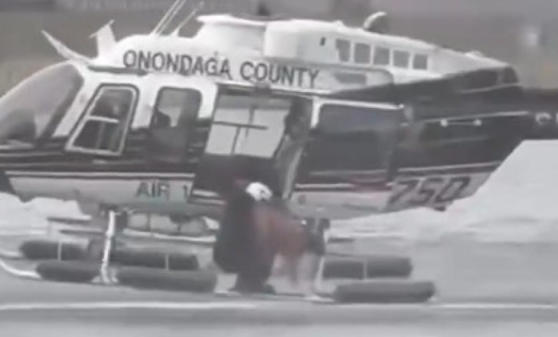 🎥 Spectaculaire reddingsactie met helikopter brengt hond in ijskoude rivier in veiligheid