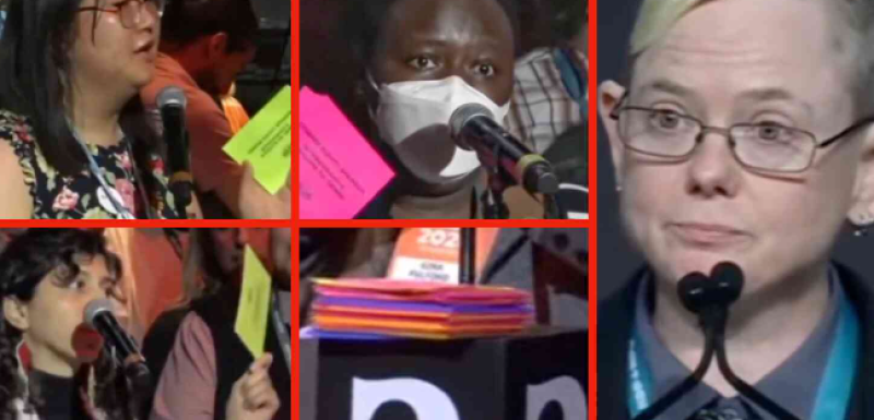 🎥 Identiteit boven inhoud: hoe een woke politieke meeting een circus werd