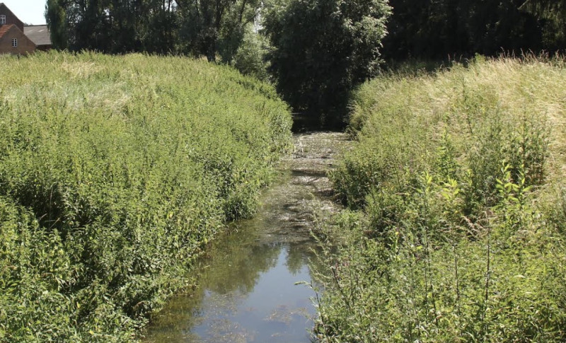 De Velpe stroomt door de bib van Kortenaken: tijdelijke tentoonstelling ontdekt eeuwenoude waterloop