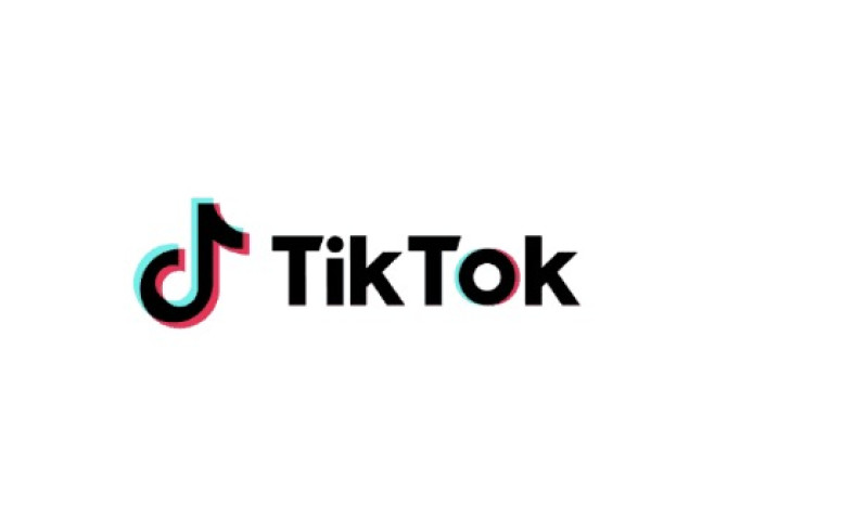 Vlaanderen trekt grens: TikTok en Snapchat buiten bereik onder 13 jaar