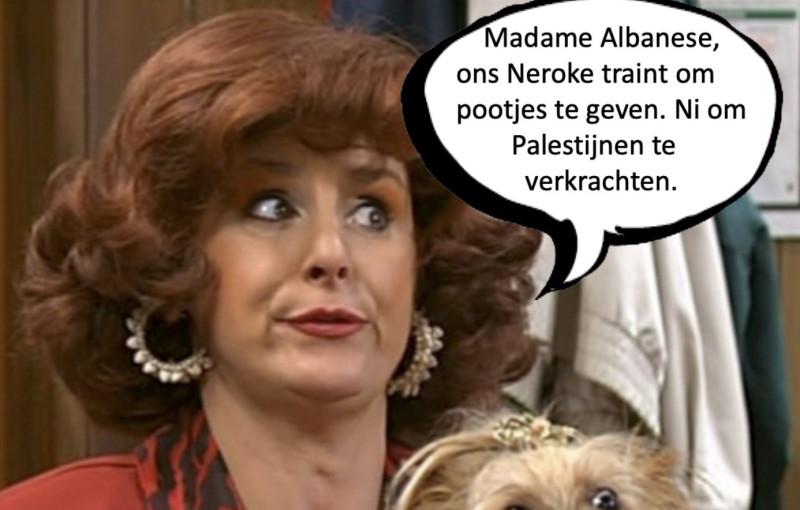 Eredoctoraat voor VN-experte die beweert dat honden Palestijnse gevangenen verkrachten… en België zou meedoen
