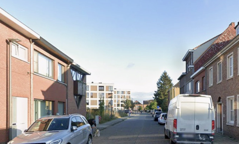 Nieuw Vonkbos maakt Turnhout een stukje groener: school en buurt plantten samen een minibos
