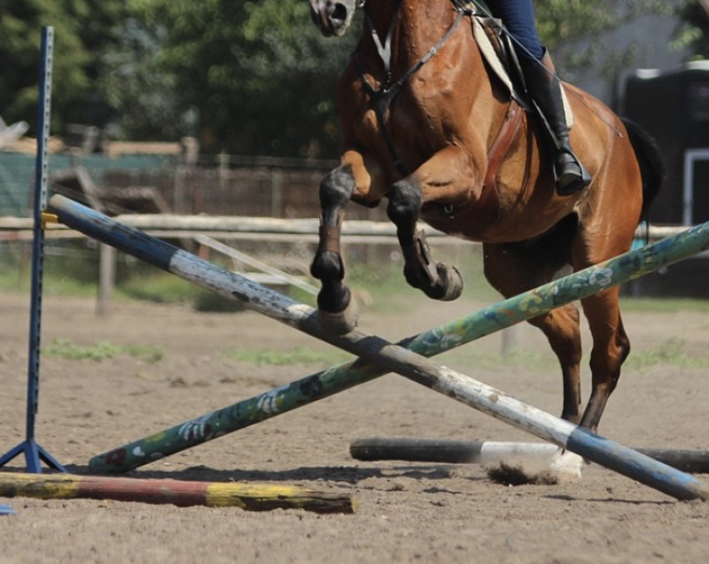 Groentenjumping in Sint-Katelijne-Waver: het gezelligste paardenevenement van de paasvakantie