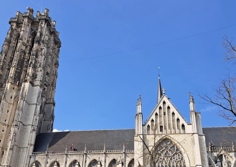 Mechelen klinkt internationaal: nieuwe melodieën op de beiaard van de Sint-Romboutstoren