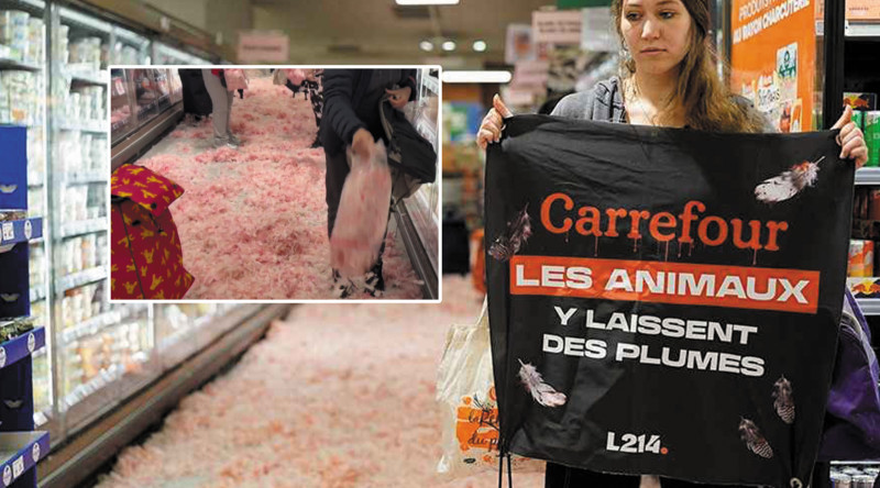 🎥 Dierenrechtenorganisatie L214 bestrooit Carrefour met bebloede veren: “Wanneer komen jullie deze belangrijke toezegging na?”