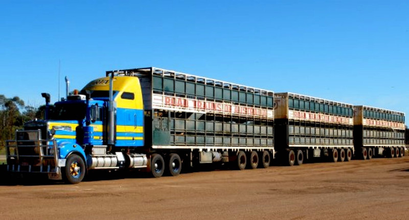 Australische vrachtwagenchauffeur: "Voor de oorlog kostte volle tank 3.600 dollar, nu geef ik al 7.500 uit“